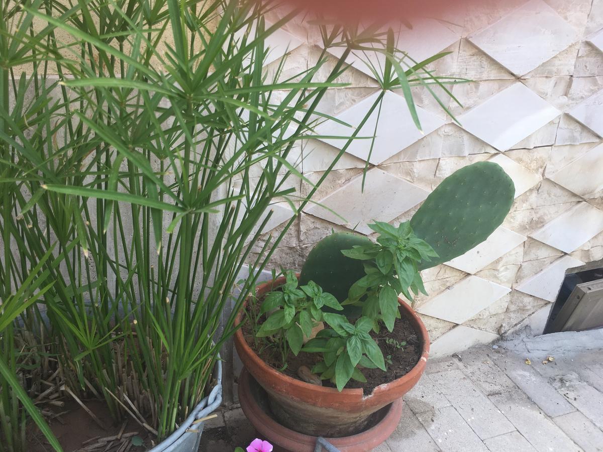 Casa Vacanze Le Rose Marina di Ragusa Exteriör bild
